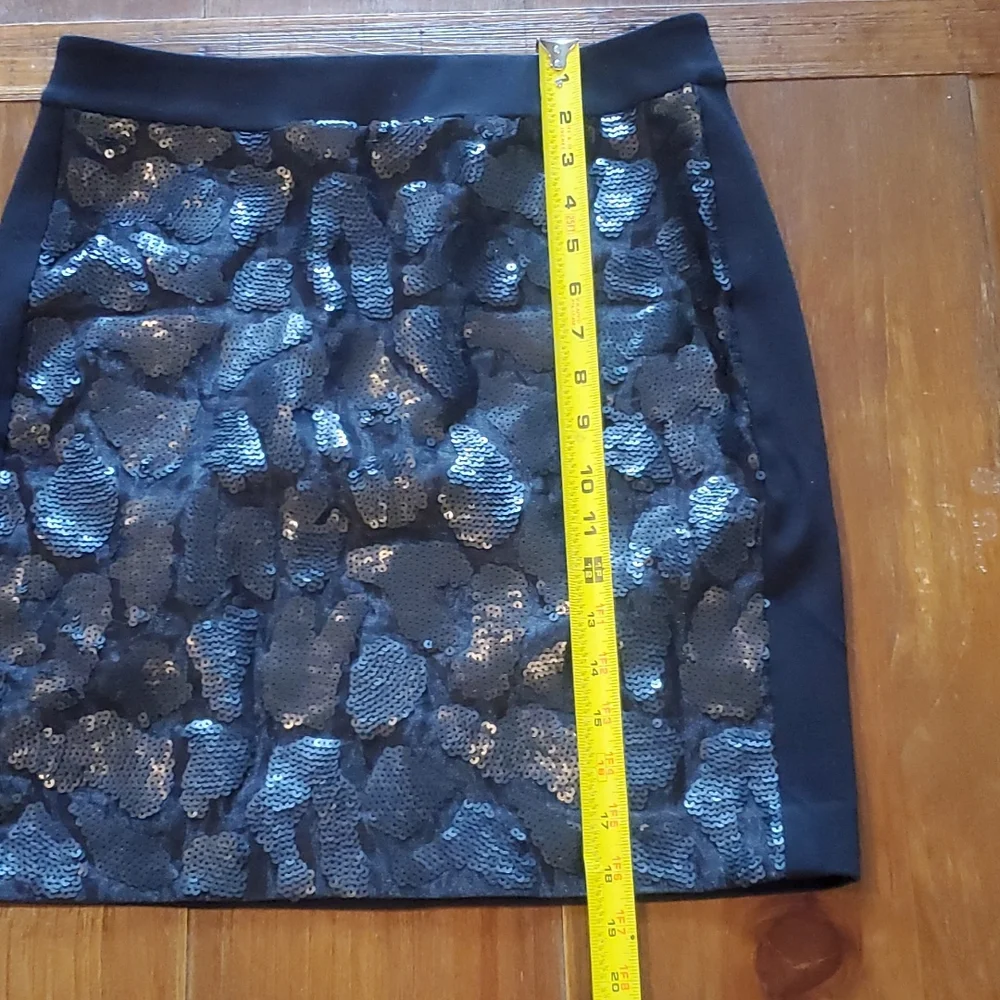 Ann Taylor Skirt - Picture 9 of 11